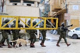 فلسطین