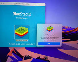 Image of Running BlueStacks installer