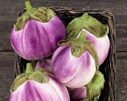 Image of Rosa Bianca eggplant