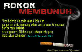 Image result for bahaya rokok