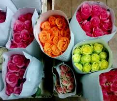 Image result for karangan bunga mawar biru