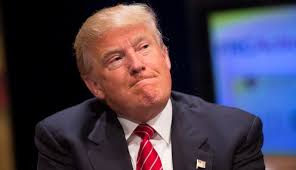 Image result for Trump July 2016