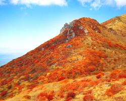 くじゅう連山の紅葉の画像