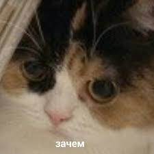 images?q=tbn:ANd9GcSK9SYbKhx-ph_wTgjCL5X