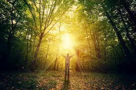Image result for immortal pictures