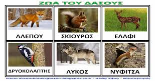 Αποτέλεσμα εικόνας για εικονες ζώα