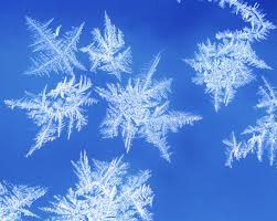 Billedresultat for frost