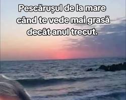 Imagine cu O persoană ținând o bilă fumigena întro ședință foto