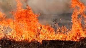 Minnesota DNR Expands Burn Restrictions Amid Wildfire Risk