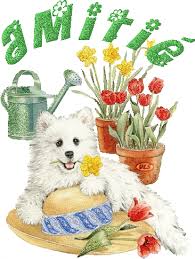 Résultat de recherche d'images pour "gif chien doucenuit"