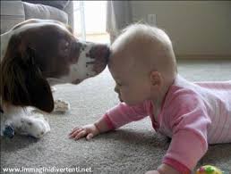 Image result for bimbi e cani