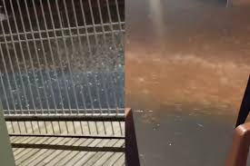 Queda de granizo e chuva com enxurrada surpreendem moradores de Brasilândia do Sul