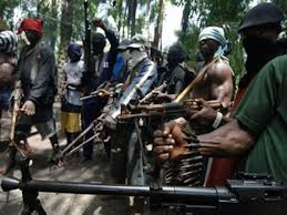 Image result for niger delta avengers
