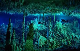 Image result for Great Blue Hole