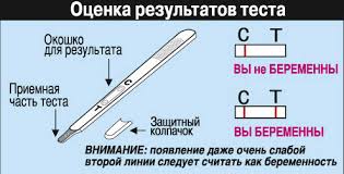 Более сорока человек отравились шаурмой в Измаиле, - мэр города - Цензор.НЕТ 2791
