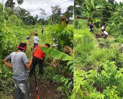 Imagem de indigenous researcher using a drone to monitor deforestation in the Amazon rainforest