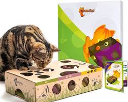 cat puzzle toyの画像