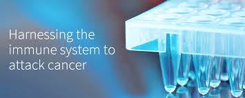 Image result for Corvus Pharmaceuticals