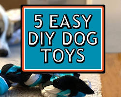 DIY dog toysの画像