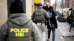 Rep. Dan Goldman Calls for Arrest of ICE Agents: Immigration Debate Heats Up