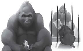 Resultado de imagen para el unico e incomparable ivan