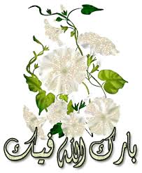 images?qtbnANd9GcSLWWkj8zbXCUdQLjTN2a1cFPhnWhUNCDeCojsMVmT1GZcTNqclIw