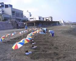 指宿温泉の画像