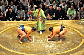 Resultado de imagen de sumo