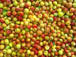 Image result for many apples