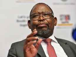 What will fuel prices look like in South Africa next month?