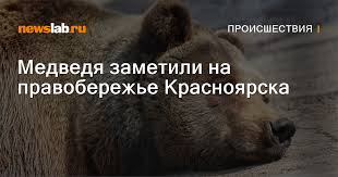 Newslab.ru