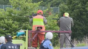 人食いヒグマ特定！4年前の死亡事故と同一個体か？福島町で警戒強化 - Imagen principal del artículo