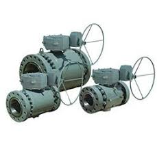 Trunnion Mounted Ball Valves Manufacturer in India ...