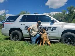 Platte County Sheriff