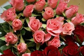 Image result for emotions FLOWERS image