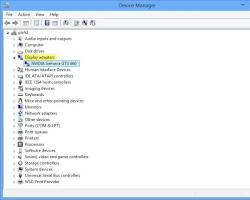 Display adapters section in Device Manager