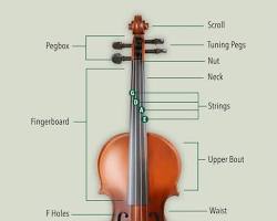 Image of violin outline with refined body curves, fholes, and bridge