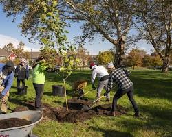 รูปภาพPeople planting trees