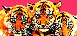 Resultado de imagen de cabrera infante Tres tristes tigres