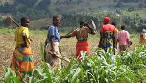 Image result for burundi