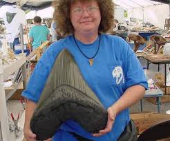 Image result for megalodon