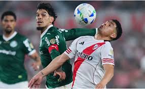 Palmeiras Elimina a River: ¿Fin del Sueño Libertadores? Análisis y Goles - Imagen principal del artículo
