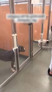 user1410261273585 (@user1410261273585) | TikTok