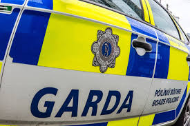 Outrage as exhausted horse collapses & dies after illegal sulky race on Irish roads amid calls for strict rule crackdown