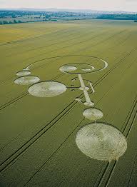 East Field Alton Barnes, Wiltshire | 20th June 2004 | Wheat ...
