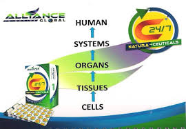 Image result for AIm Global Products