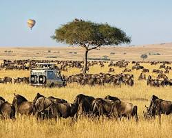 Image of Masai Mara National Reserve Kenya