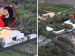 TMZ - News update