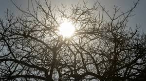 Interior de SP tem quarta-feira de sol antes de frente fria; veja previsão completa