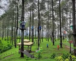 Gambar Taman Wisata Alam Gunung Pancar, Banten